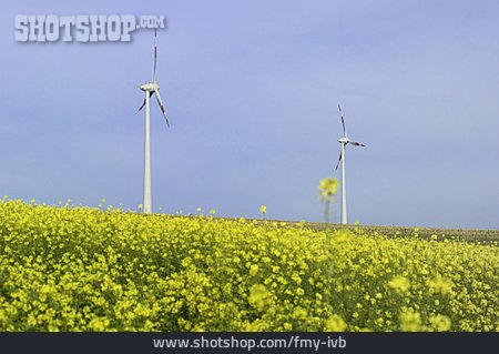 
                Rapsfeld, Windrad, Erneuerbare Energie                   
