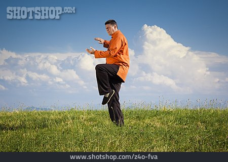 
                Balance, Kampfkunst, Qigong                   