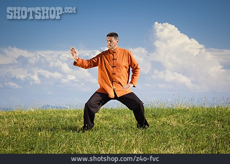 
                Kampfkunst, Qigong, Bewegungsform                   
