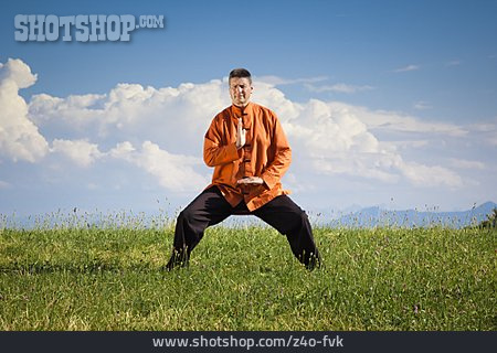 
                Harmonie, Balance, Kampfkunst, Qigong                   