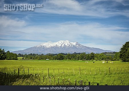 
                Vulkan, Mount Ruapehu                   