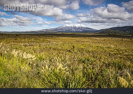 
                Tongariro-nationalpark, Mount Ruapehu                   