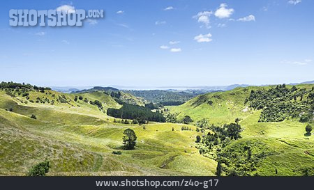 
                Hügellandschaft, Matamata-piako District                   