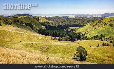 
                Neuseeland, Hügellandschaft                   