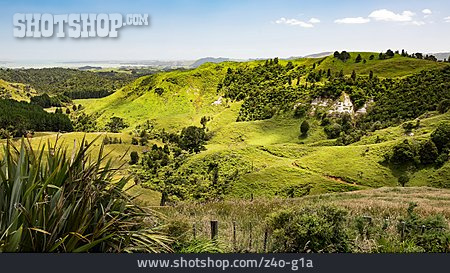 
                Neuseeland, Hügellandschaft                   