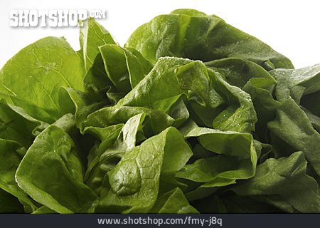 
                Grüner Salat                   