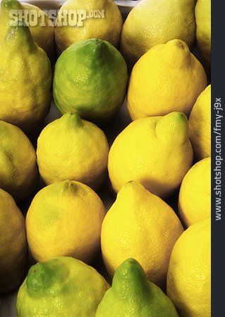 
                Zitronen                   