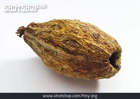 
                Cocoa Fruit                   