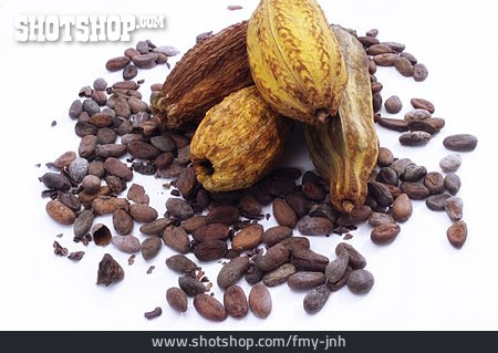 
                Kakaofrucht, Kakaobohne                   