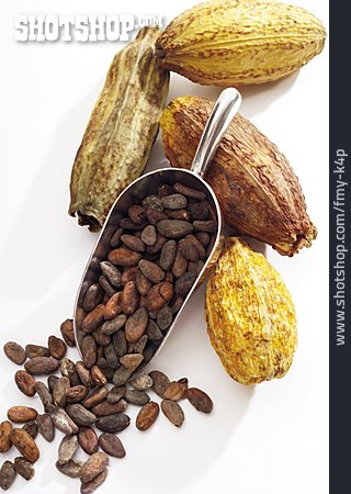 
                Kakao, Kakaofrucht, Kakaobohne                   