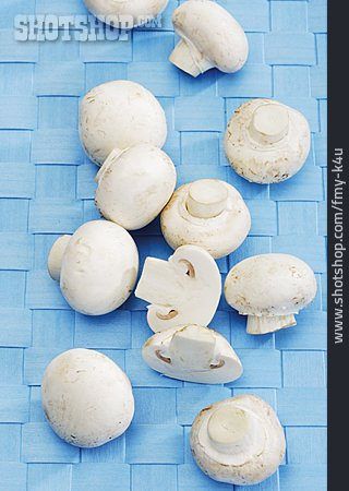 
                Champignons, Zucht-champignon                   