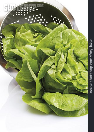 
                Grüner Salat                   