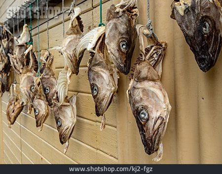 
                Trockenfisch, Kabeljau, Fischkopf                   