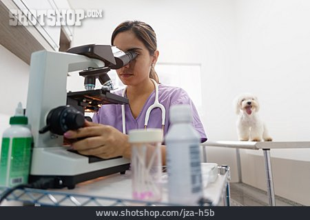 
                Tierärztin, Veterinärmedizin, Tierarztpraxis                   