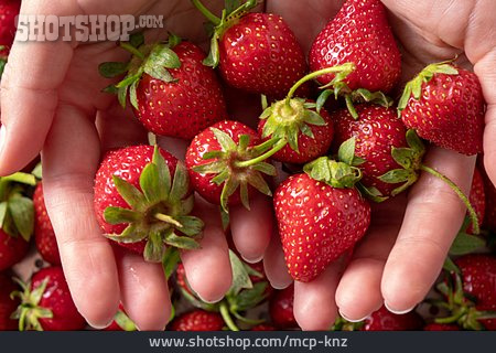
                Erdbeeren, Handvoll                   