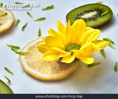 
                Blüte, Zitronenscheibe                   