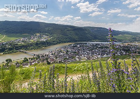
                Mosel, Mehring                   