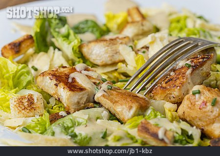 
                Caesar Salad                   