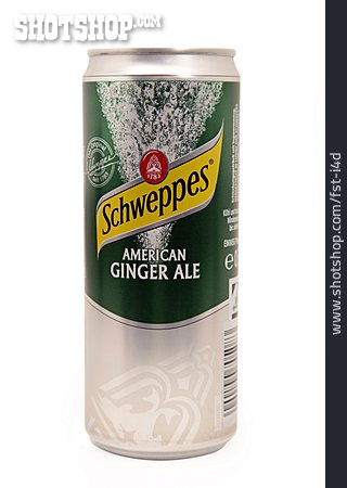 
                Schweppes, Ginger Ale                   