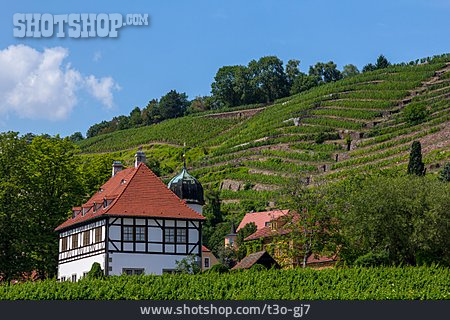 
                Weingut, Hoflößnitz                   