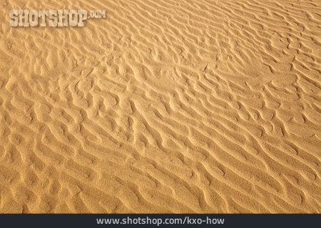 
                Wüste, Sandboden, Sandrippel                   