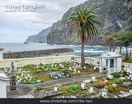 
                Friedhof, Madeira                   