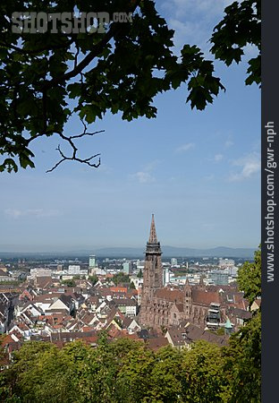 
                Freiburg, Freiburger Münster                   