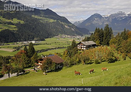 
                Tirol, Zillertal                   
