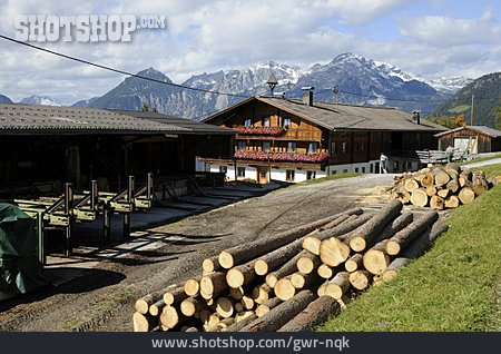 
                Holzwirtschaft, Tirol                   