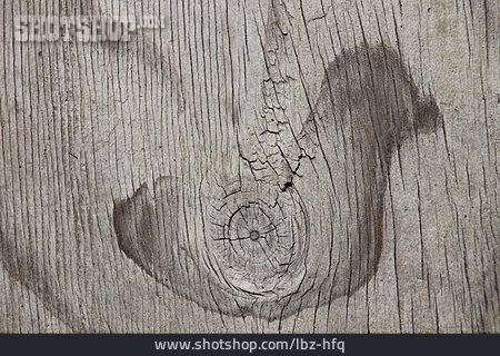 
                Ente, Holzstruktur                   