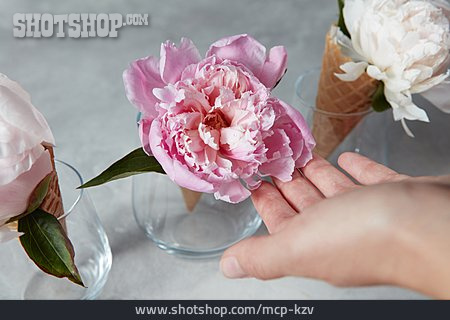 
                Vase, Pfingstrose, Blumenschmuck                   