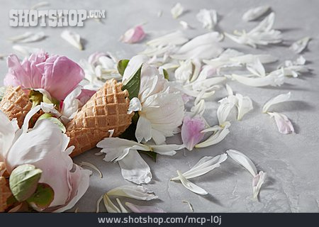 
                Blütenblätter, Sommerlich, Pastell                   