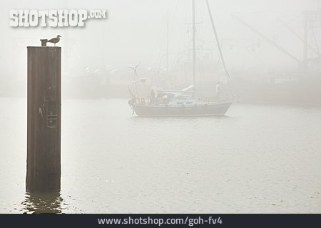 
                Küste, Nebel, Segelboot                   