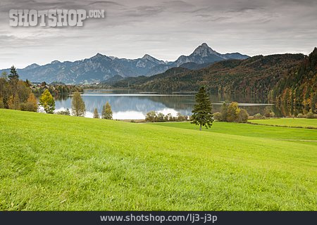 
                Allgäu, Alpen, Ostallgäu                   