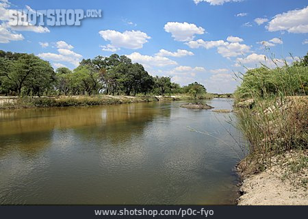 
                Namibia, Okavango Delta                   