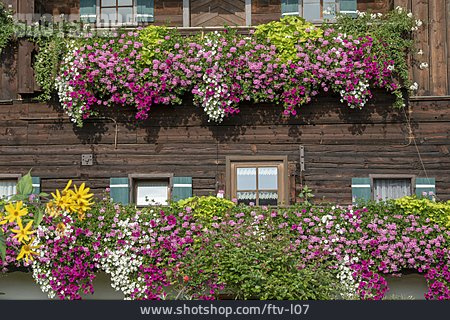 
                Bayern, Bauernhaus, Balkonblumen                   