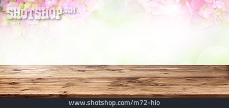 
                Hintergrund, Hortensienblüte, Holztisch                   