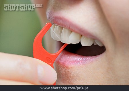 
                Zahnpflege, Zahnreinigung, Flosser                   