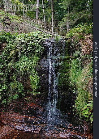 
                Wasserfall, Sankenbach, Sankenbach-wasserfälle                   