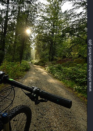
                Wald, Fahrradfahren                   