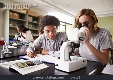 
                Teamarbeit, Schule, Mikroskop, Naturwissenschaft                   