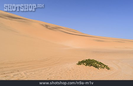 
                Wüste, Sanddüne, Namibwüste                   