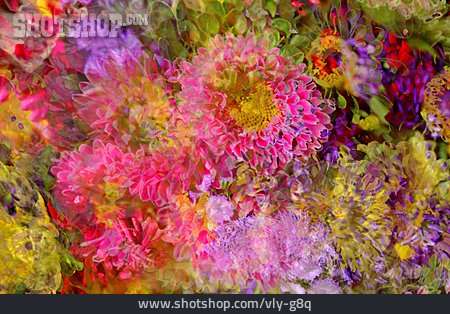 
                Dahlienblüte, Blumenmuster, Floral                   