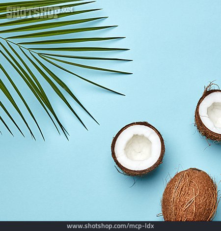 
                Kokosnuss, Kokosnusshälfte                   