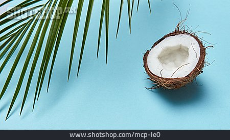 
                Kokosnuss, Kokosnusshälfte                   