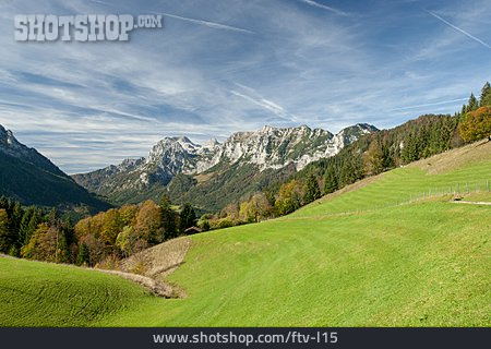 
                Almwiese, Berchtesgadener Alpen                   