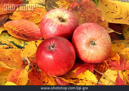 
                Herbstlaub, äpfel                   