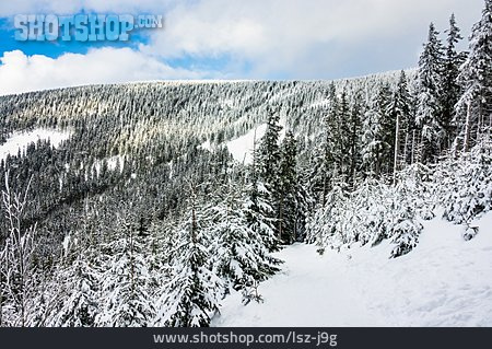 
                Riesengebirge, Schneekoppe                   