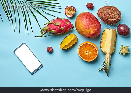 
                Früchte, Smartphone, Blogger                   