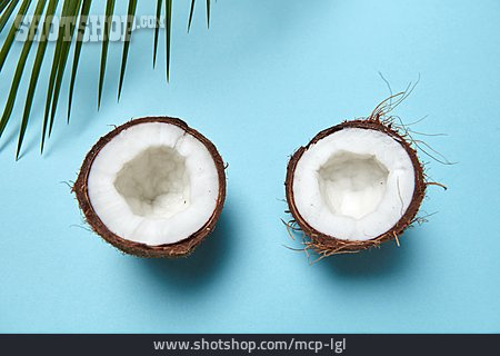 
                Coconut, Coconut Mark                   